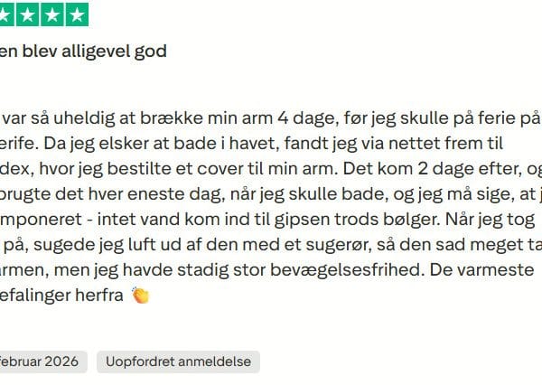 Skærmbillede 2026-04-02 134108